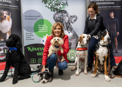 Megv&aacute;lasztott&aacute;k az &eacute;v kutyabar&aacute;t helyeit &ndash; itt a teljes lista