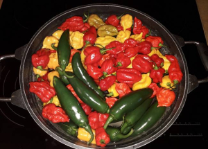 Mini Chili Fesztivál, 2025. szeptember 21.