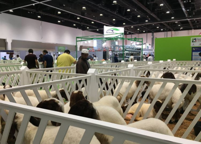 Ha minden kedvezően alakul, lesz id&eacute;n EuroTier ki&aacute;ll&iacute;t&aacute;s!