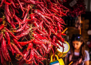 Kalocsai Paprika és Gasztrofesztivál, 2025. szeptember 19-20.