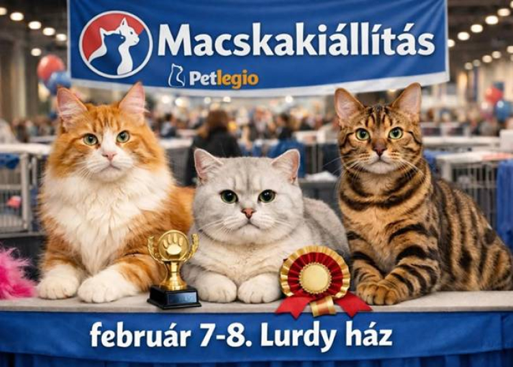 Nemzetk&ouml;zi Macskaki&aacute;ll&iacute;t&aacute;s, 2026. febru&aacute;r 7-8.
