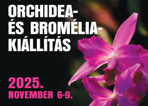 Orchidea és Bromélia Kiállítás, 2025. november 6-9.