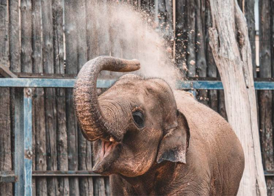 Ism&eacute;t vezetett esti s&eacute;t&aacute;k indulnak a Főv&aacute;rosi &Aacute;llatkertben