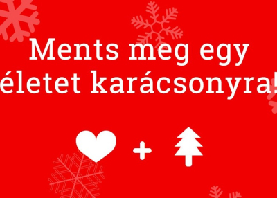 &Aacute;lomvar&aacute;zsl&aacute;s: Laptopra gyűjt&ouml;ttek a s&uacute;lyos beteg Mirell&aacute;nak