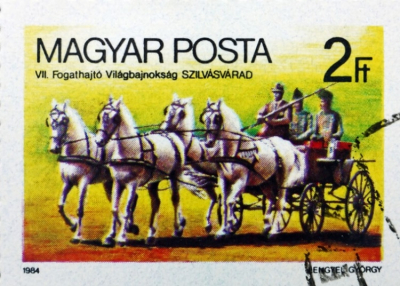 40 &eacute;v ut&aacute;n &uacute;jra rangos vil&aacute;gesem&eacute;ny Szilv&aacute;sv&aacute;radon