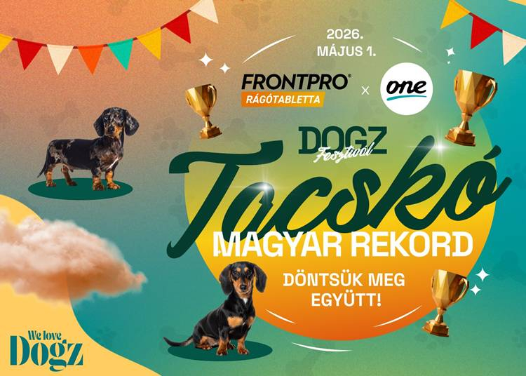 DOGZ Fesztiv&aacute;l - Tacsk&oacute; rekordk&iacute;s&eacute;rlet