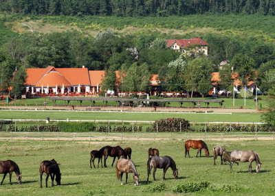 Oktoberfeszt a Lázár Lovasparkban, 2022. október 2.