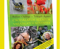 Különleges írók találkozója a Füvészkertben