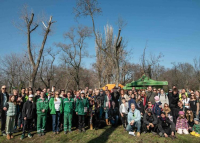 Kétszázezer fát ültettek a Nemzeti Faültetés Napján