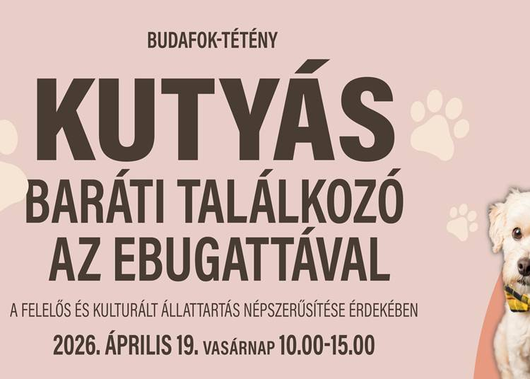Kuty&aacute;s piknik, szak&eacute;rtői programok &eacute;s j&oacute;t&eacute;konys&aacute;g egy helyen, 2026. &aacute;prilis 19.