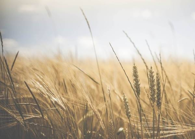 Arat&oacute;&uuml;nnep, 2024. j&uacute;lius 13.