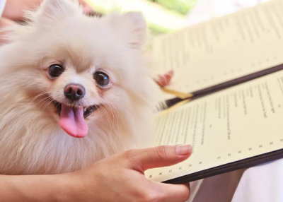 Id&eacute;n is megv&aacute;lasztj&aacute;k az &Eacute;v Kutyabar&aacute;t Helyeit