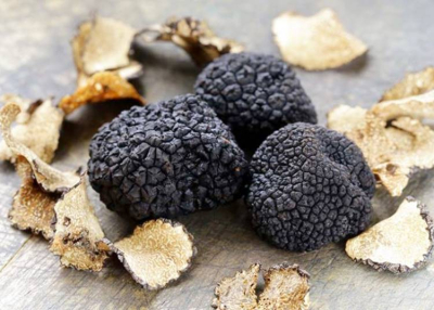 Szarvasgomba fesztiv&aacute;l, 2023. okt&oacute;ber 22.