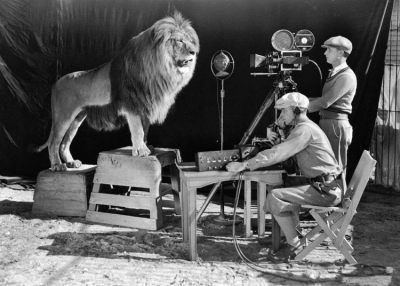 Filmforgat&aacute;sokra &eacute;s online szakki&aacute;ll&iacute;t&aacute;sokra kalibr&aacute;lta &uacute;j &uuml;zleti &eacute;v&eacute;t a Hungexpo