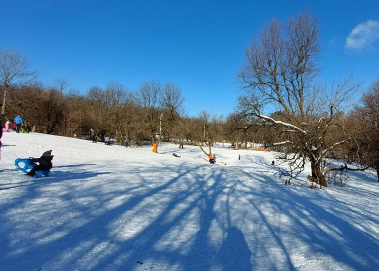 Hivatalosan is megny&iacute;lt a Normaf&aacute;n a sz&aacute;nk&oacute;- &eacute;s s&iacute;fut&oacute;p&aacute;lya