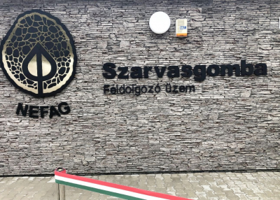 Szarvasgomba-feldolgozót avattak Szolnokon