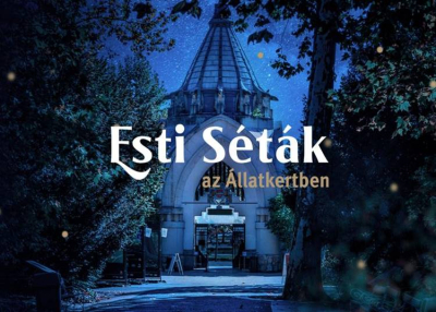 Esti s&eacute;ta a Főv&aacute;rosi &Aacute;llatkertben, 2023. november 16.